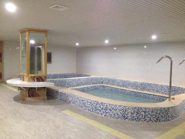 河南省信阳明珠大酒店室内泳池项目